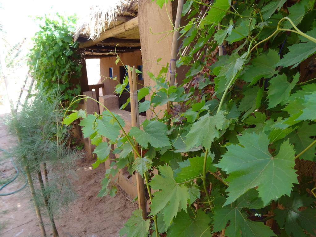 Auberge Tigida M’hamid El Ghizlane Exterior foto